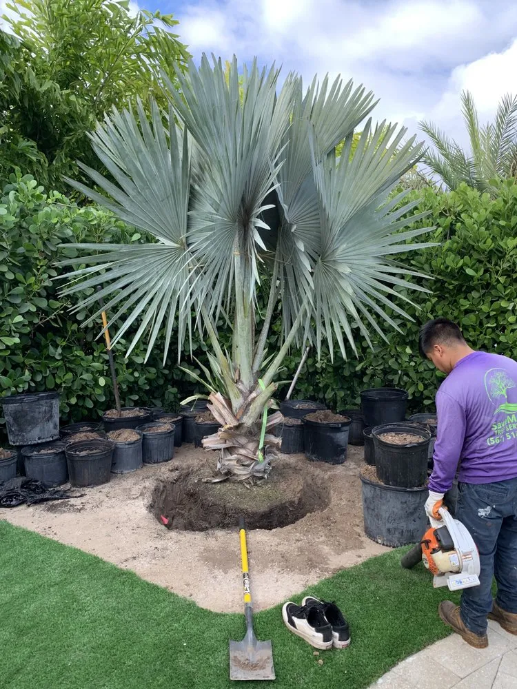 Professional yard maintenance with custom design in West Palm Beach, FL by American Landscape Design