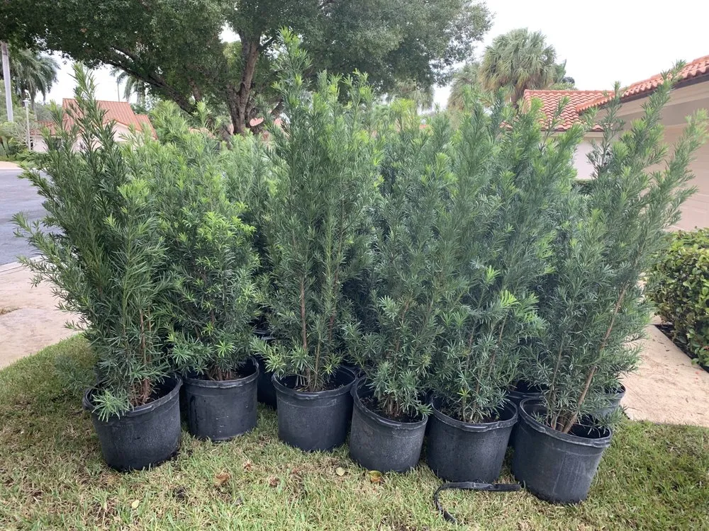 Custom yard maintenance for outdoor upgrades in West Palm Beach, FL by American Landscape Design