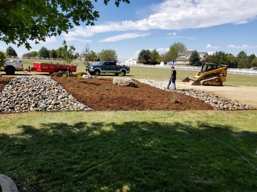 Professional lawn care service in Fort Collins, CO by American Landscape