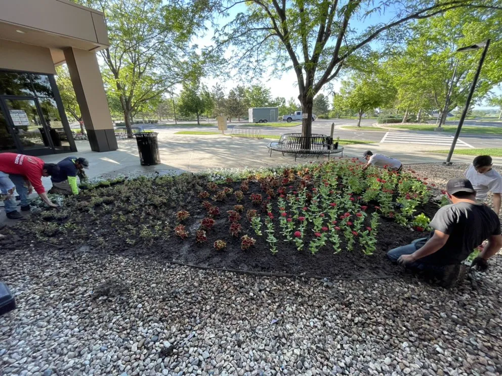 Trusted residential landscaping experts serving Fort Collins, CO - American Landscape