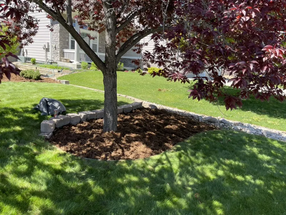 Affordable outdoor landscaping for outdoor upgrades across Fort Collins, CO - American Landscape