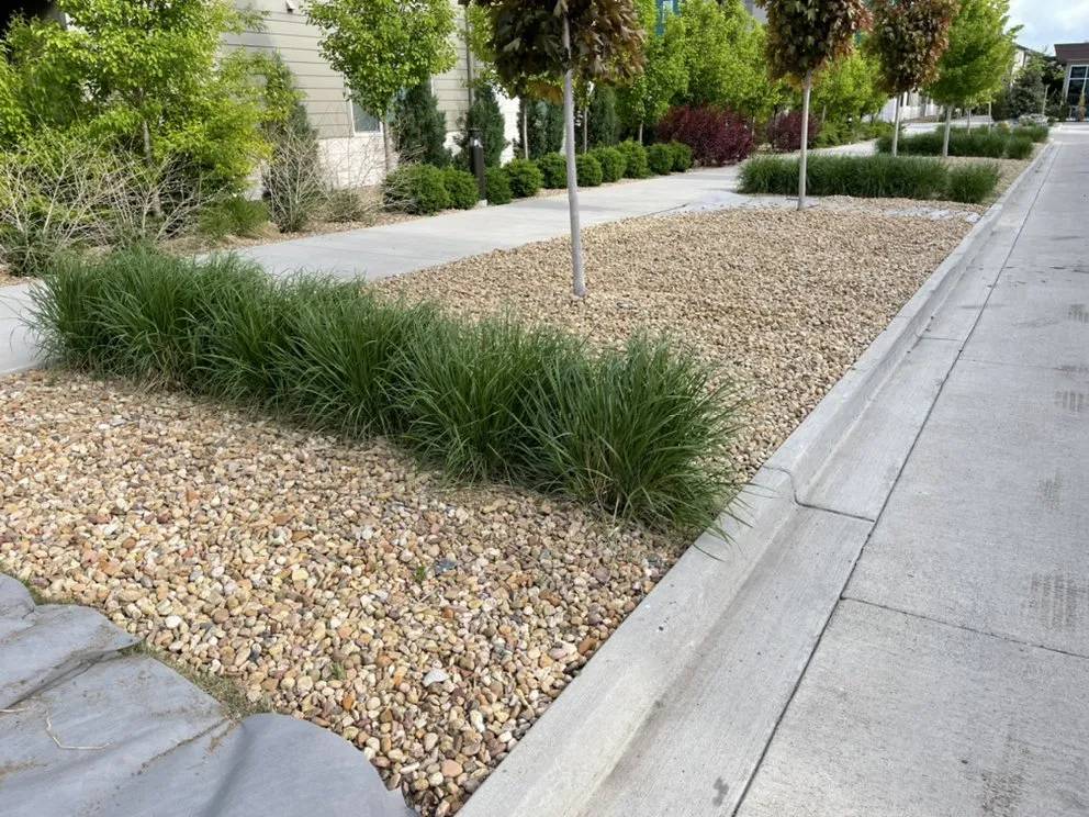 Affordable yard cleanup service in Fort Collins, CO - American Landscape