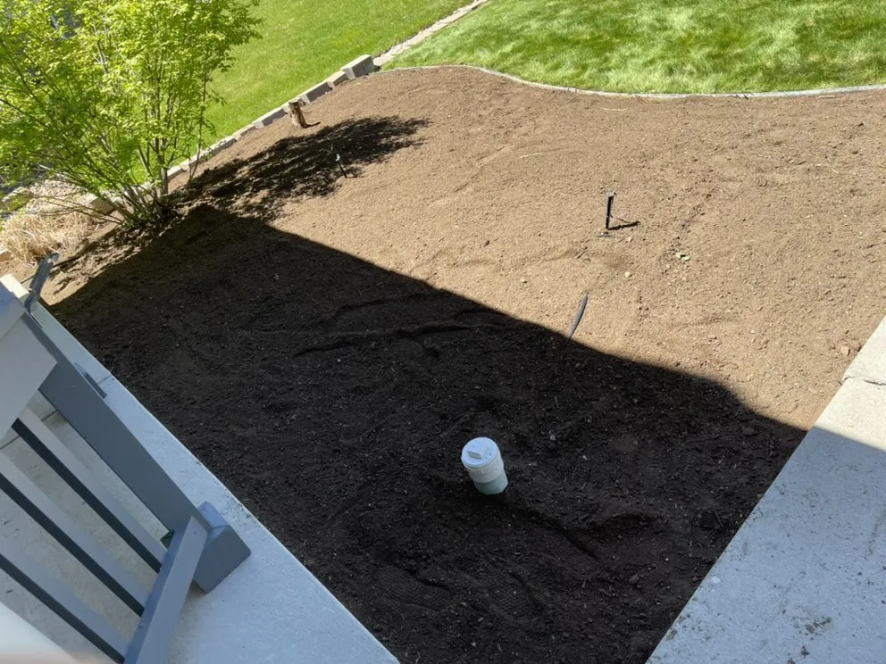 Reliable yard cleanup service in Fort Collins, CO - American Landscape