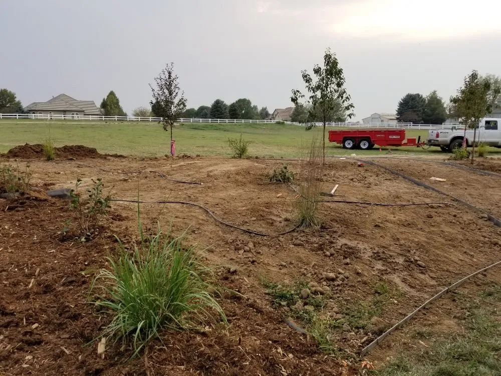 Affordable yard maintenance with custom design in Fort Collins, CO by American Landscape