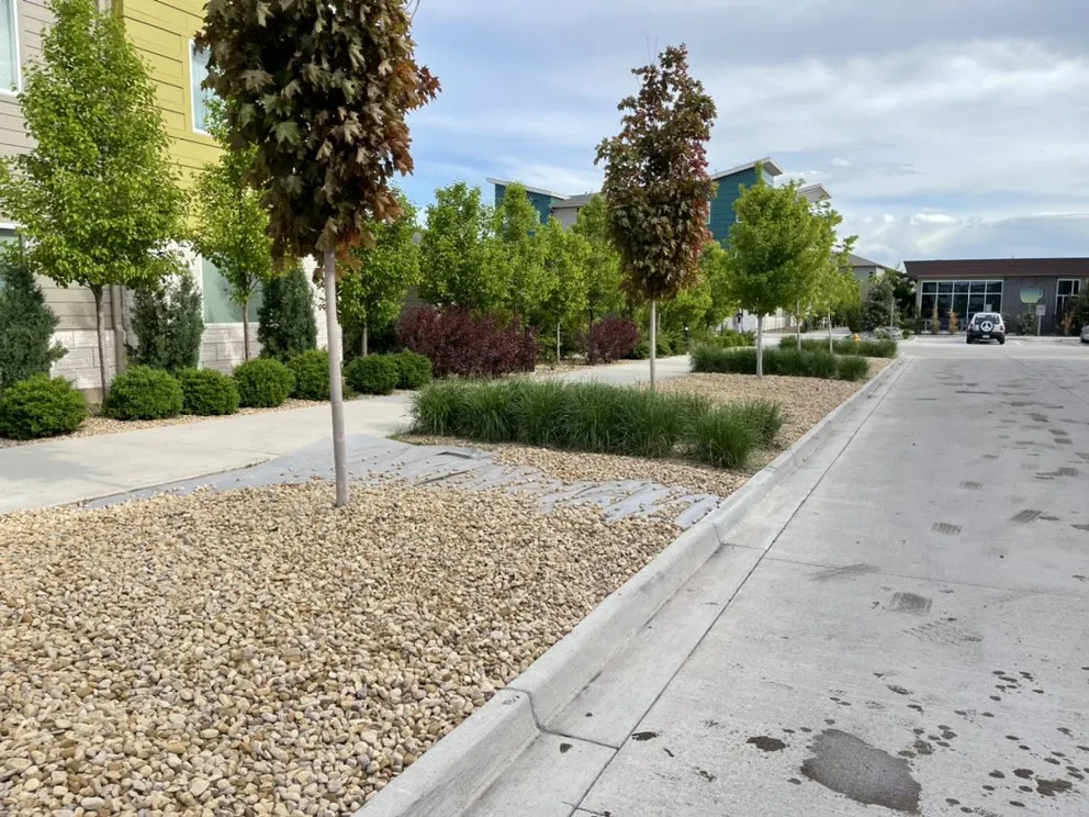 Affordable yard cleanup service near you in Fort Collins, CO by American Landscape