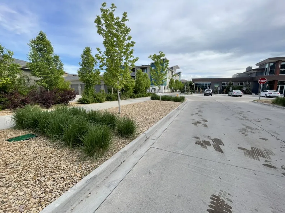 Affordable yard cleanup service for outdoor upgrades in Fort Collins, CO by American Landscape