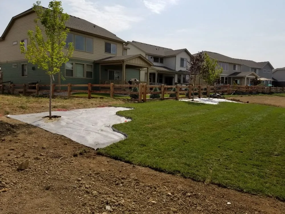 Custom yard maintenance in Fort Collins, CO by American Landscape