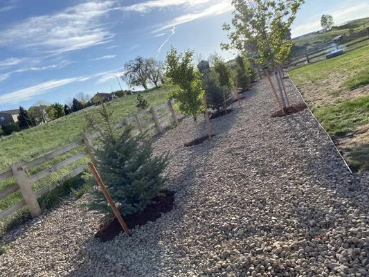 American Landscape Logo