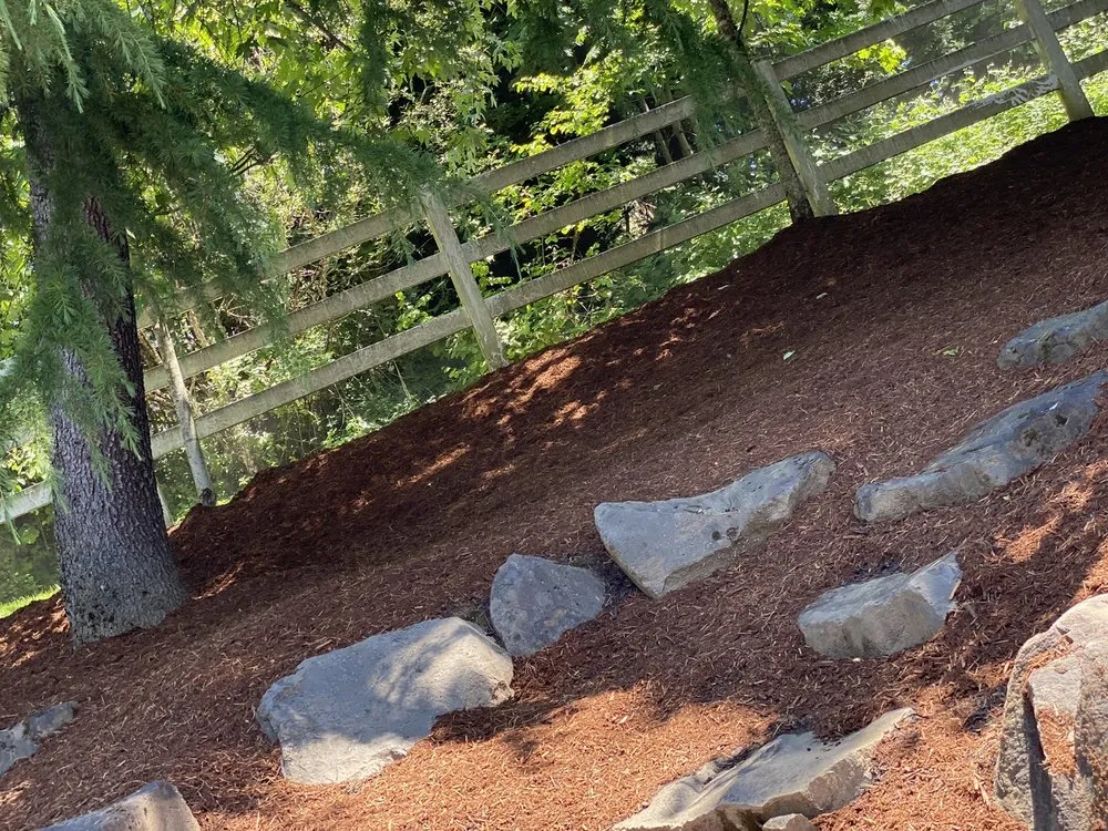 Custom yard maintenance experts serving Sherwood, OR - American Landscape Maintenance & Irrigation