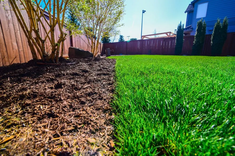 Top-rated yard cleanup service in Sherwood, OR by American Landscape Maintenance & Irrigation