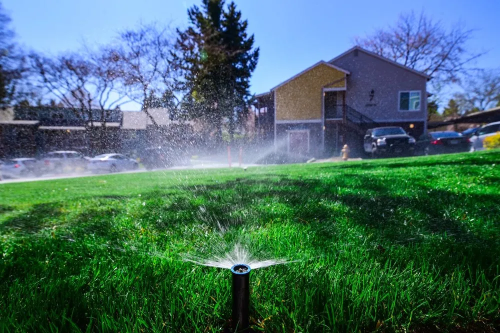 Professional residential landscaping in Sherwood, OR by American Landscape Maintenance & Irrigation