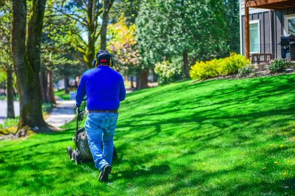 American Landscape Maintenance & Irrigation