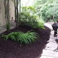 American Landscape Maintenance