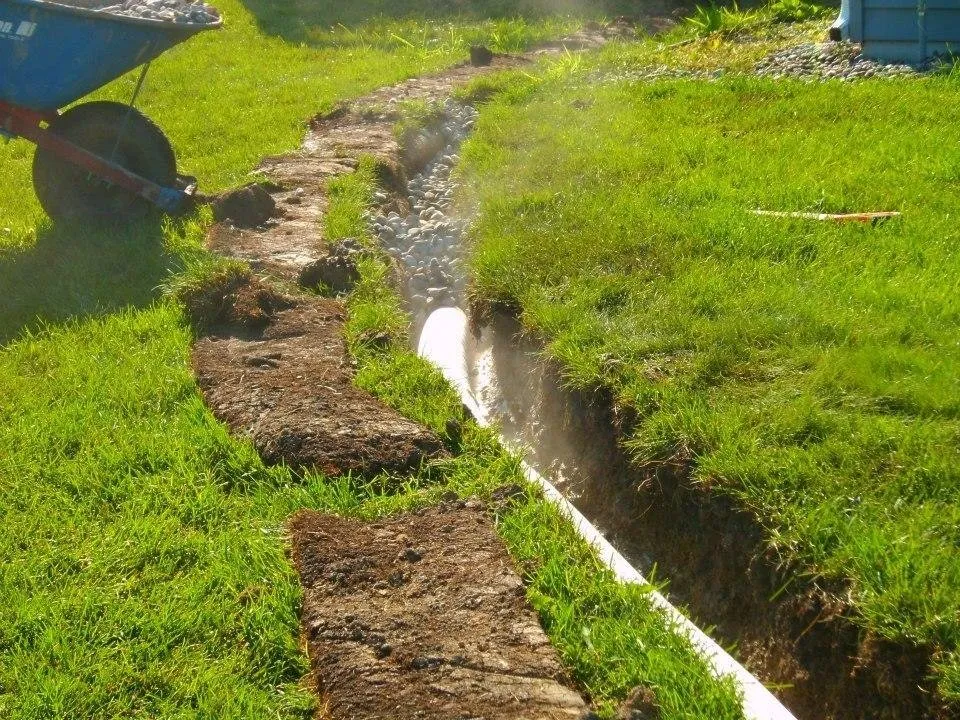 Expert yard maintenance in Maple Grove, MN - American Landscape