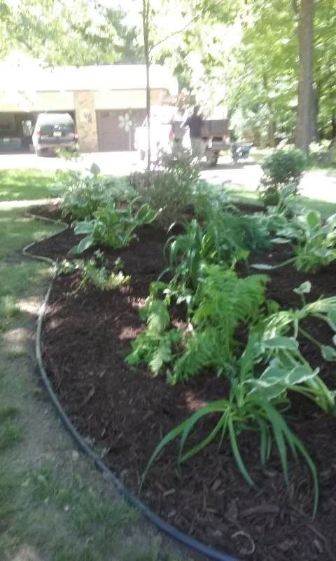 Trusted landscaping services experts serving Maple Grove, MN - American Landscape