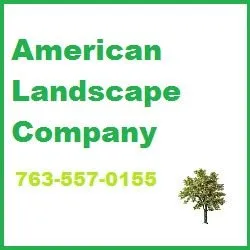 Professional yard cleanup service in Maple Grove, MN by American Landscape