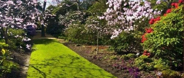 Top-rated outdoor landscaping in Maple Grove, MN by American Landscape