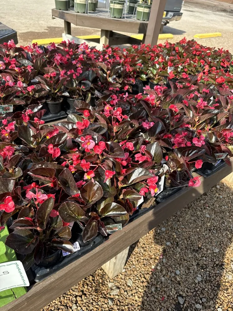 Affordable landscaping services in MURFREESBORO, TN - American Landscape