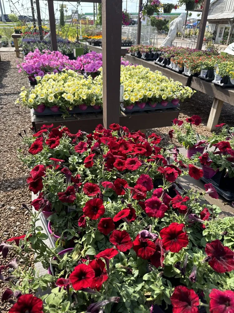 Local residential landscaping for year-round maintenance in MURFREESBORO, TN by American Landscape