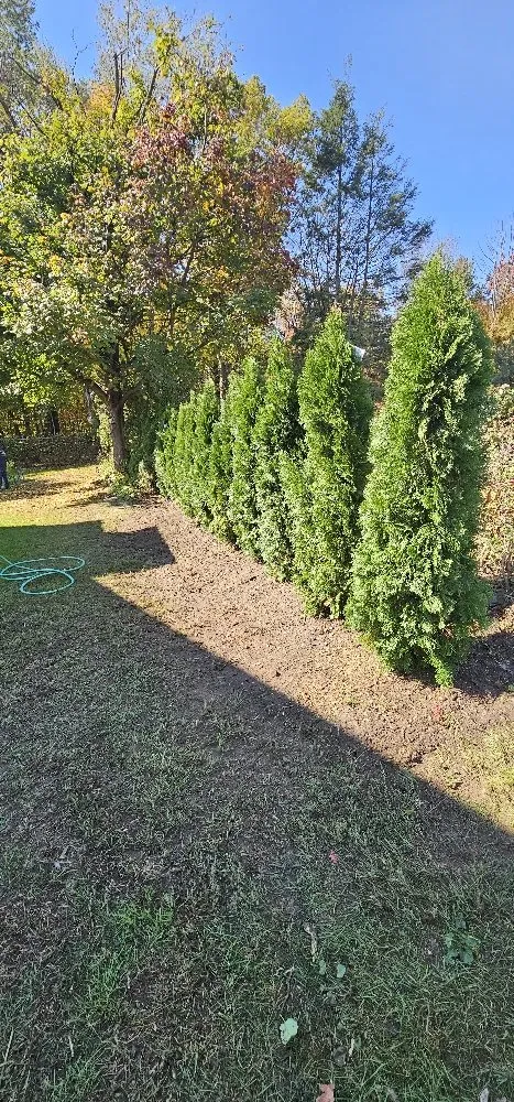 Top-rated residential landscaping experts serving Peckville, PA - American Landscape