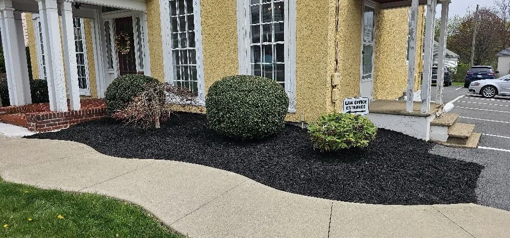 Top-rated outdoor landscaping in Peckville, PA - American Landscape