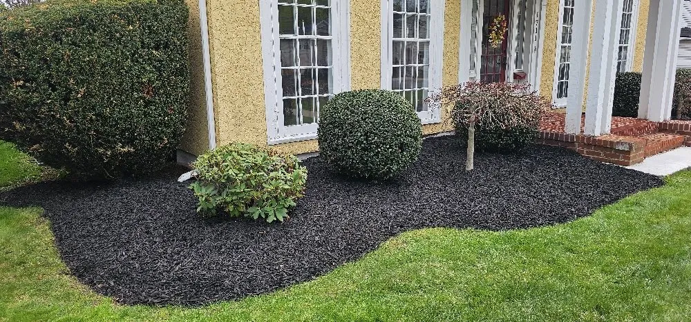 Top-rated lawn mowing service in Peckville, PA - American Landscape
