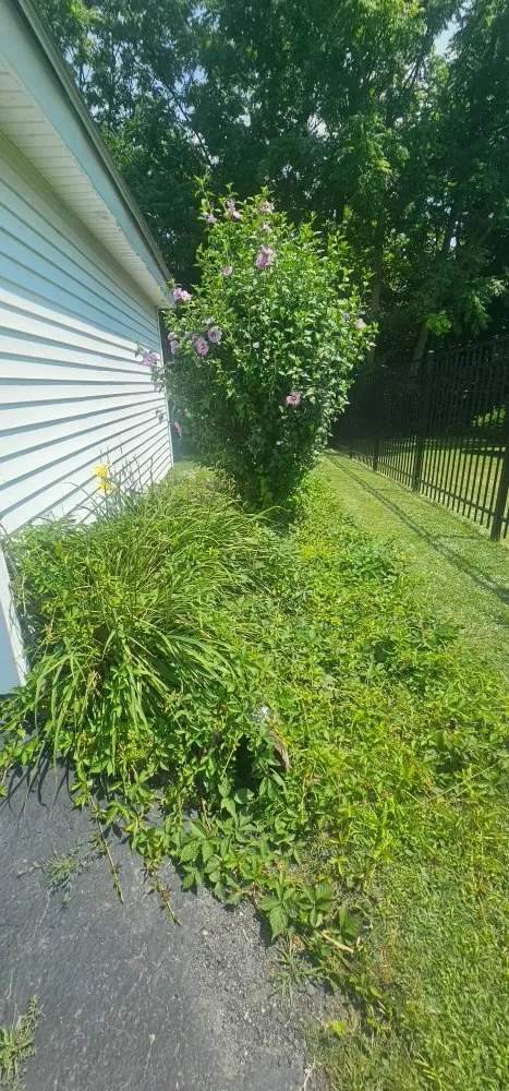 Trusted landscaping services for residential properties across Peckville, PA - American Landscape