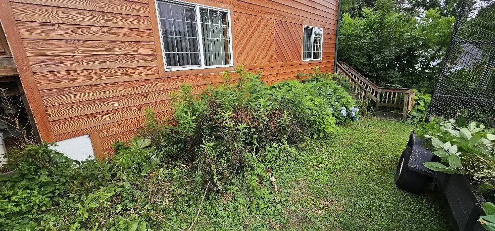 Reliable lawn care service experts serving Peckville, PA - American Landscape