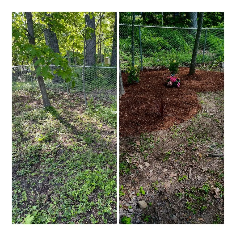 Top-rated yard cleanup service near you in Rochester, NH by American Landscape