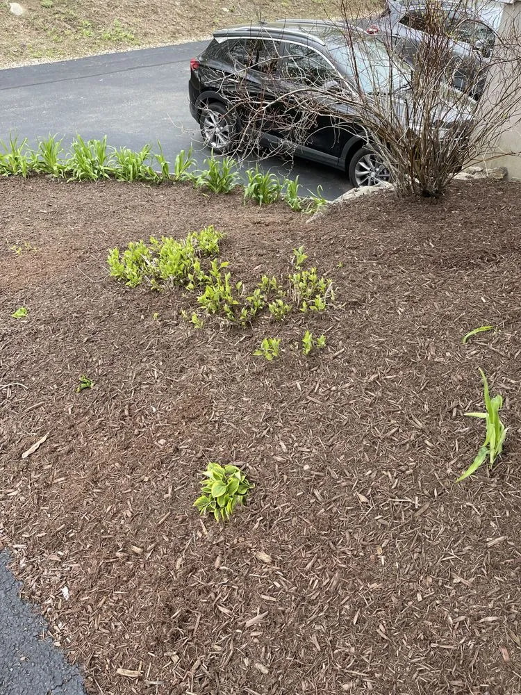 Professional garden landscaping in Rochester, NH - American Landscape