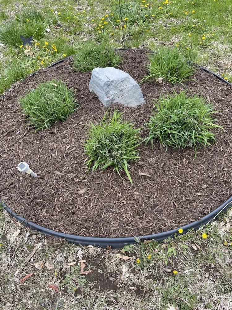 Expert yard cleanup service in Rochester, NH by American Landscape