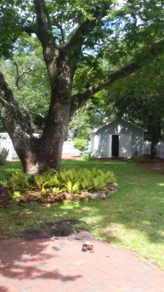 Professional outdoor landscaping for beautiful yards across Beaufort, NC - American Landscapes