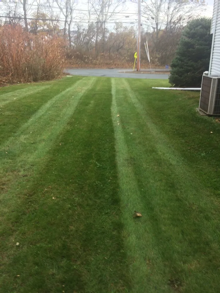Top-rated yard cleanup service in Pearl River, NY by American Landscapes