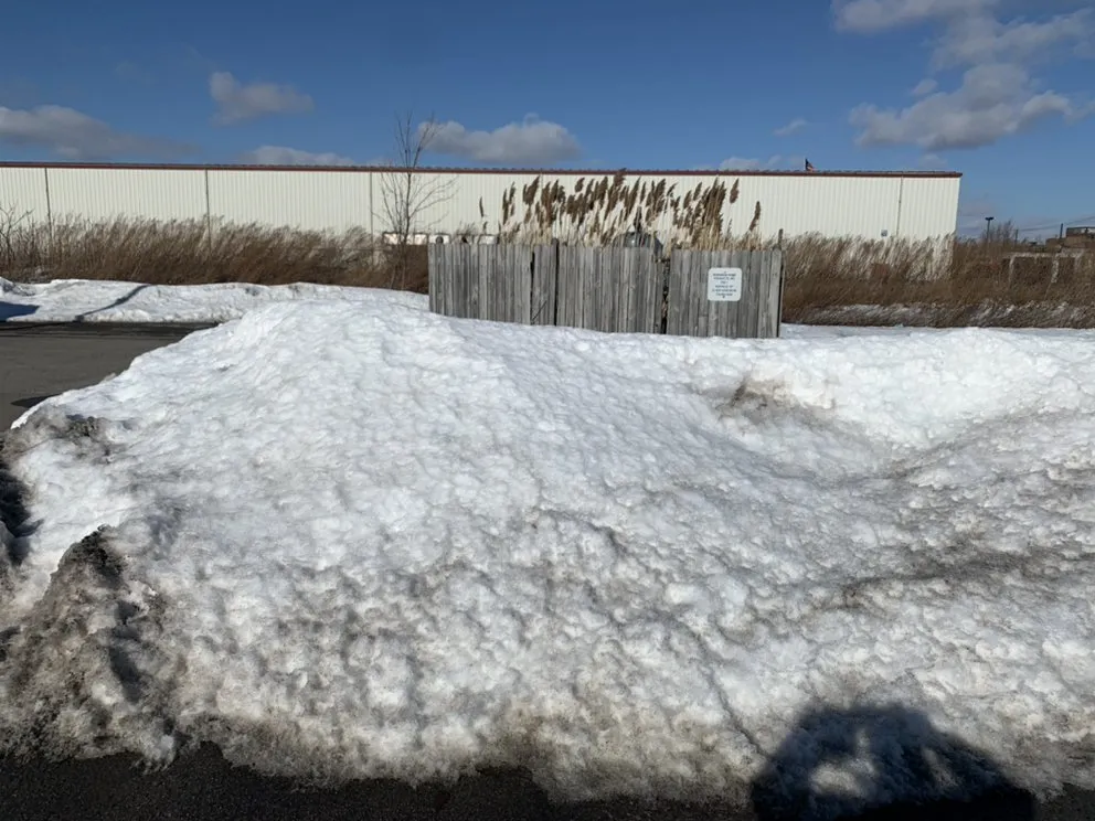 Top-rated residential landscaping in Elma, NY by American Landscaping & Snowplowing