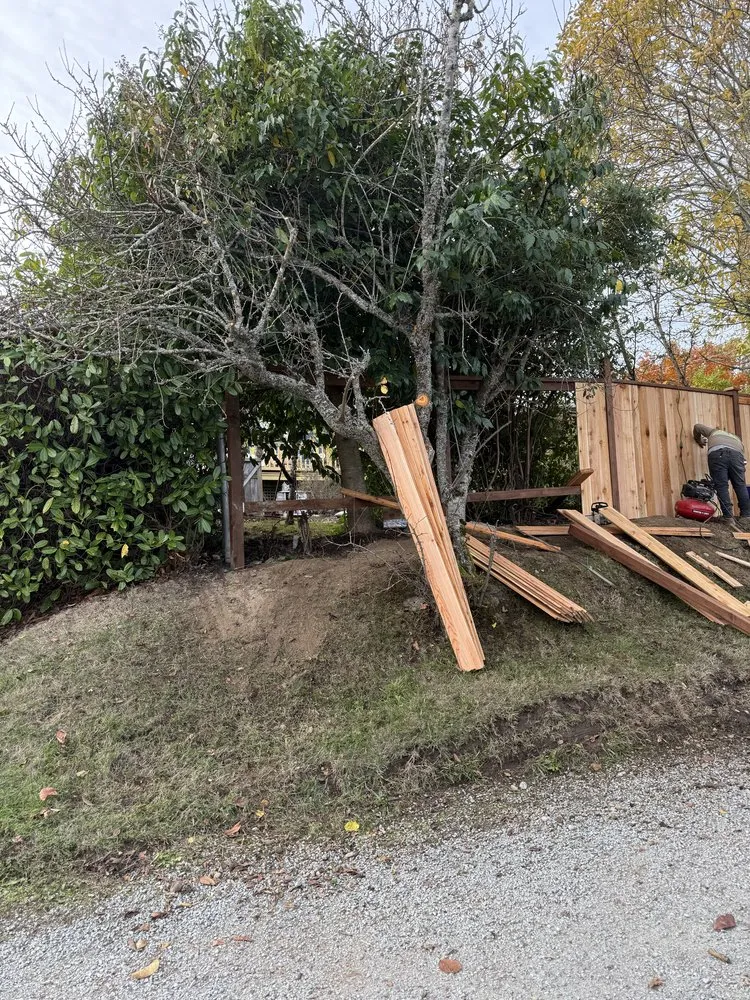 Top-rated yard maintenance in South Park Village, WA - American Landscaping & Tree Service