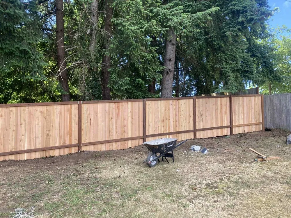 Affordable lawn care service experts serving South Park Village, WA - American Landscaping & Tree Service