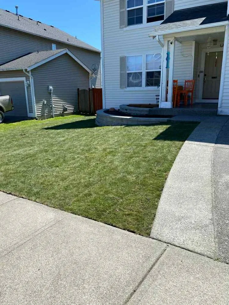 Custom yard maintenance for homes across South Park Village, WA - American Landscaping & Tree Service