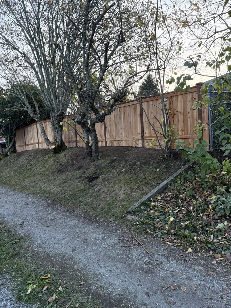 Professional outdoor landscaping experts serving South Park Village, WA - American Landscaping & Tree Service