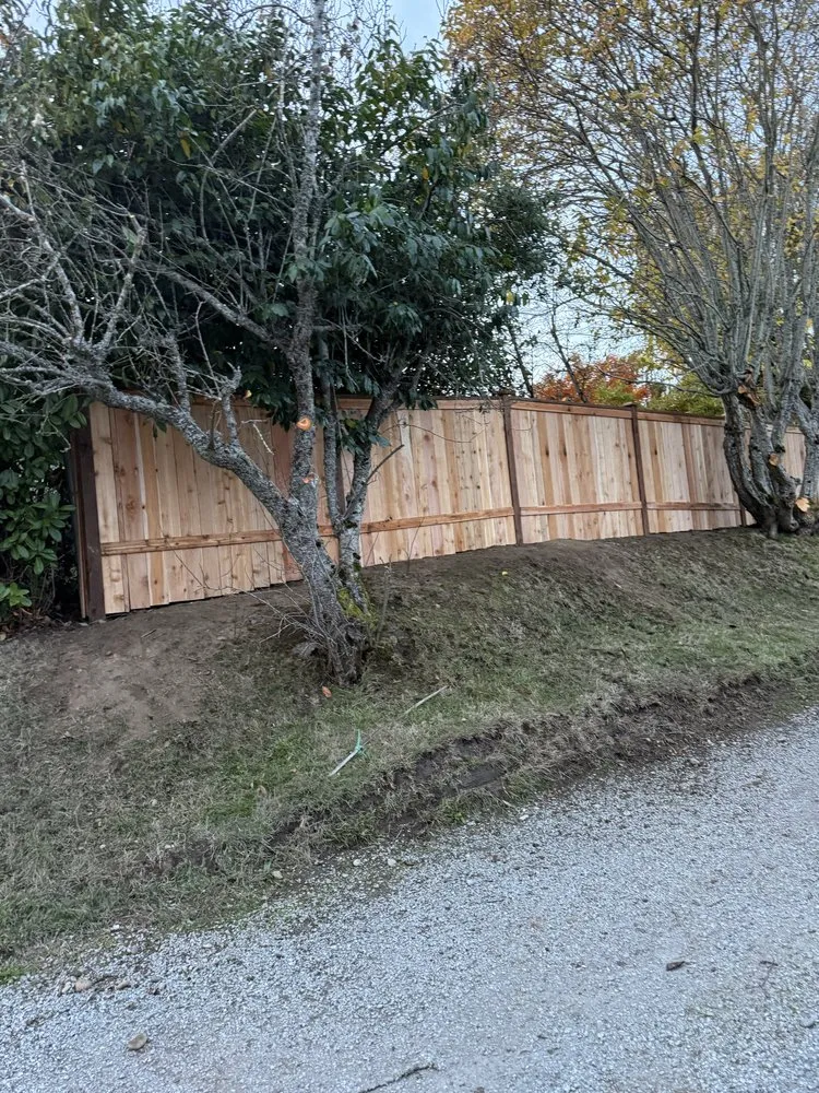 Affordable landscape installation in South Park Village, WA by American Landscaping & Tree Service