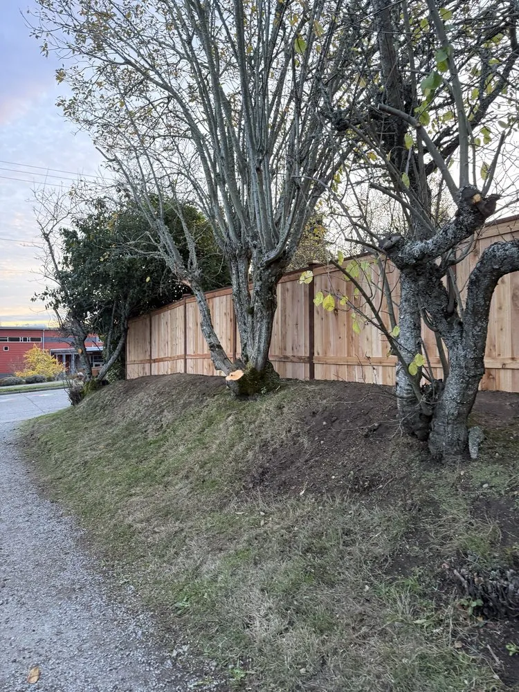 Local outdoor landscaping experts serving South Park Village, WA - American Landscaping & Tree Service