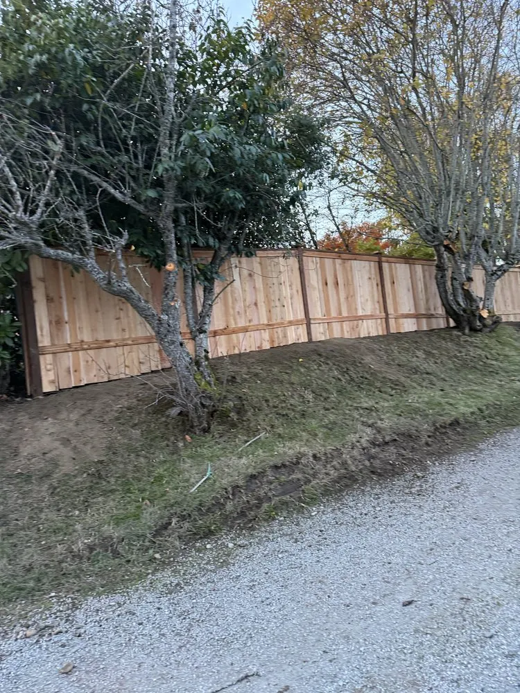 Professional lawn care service experts serving South Park Village, WA - American Landscaping & Tree Service