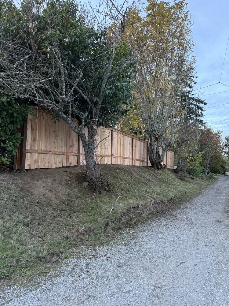 Professional yard cleanup service in South Park Village, WA by American Landscaping & Tree Service