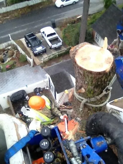 Trusted landscape installation near you in West Hartford, CT by American Landscaping & Tree Service