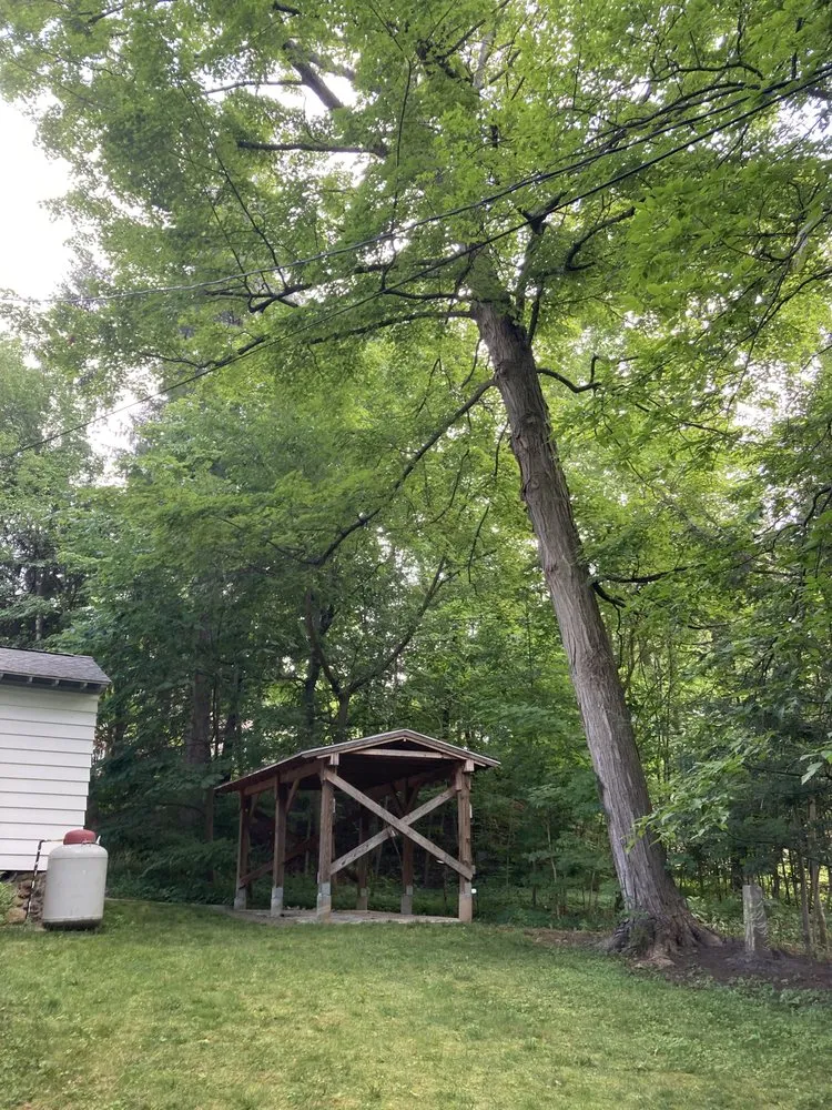 Expert yard cleanup service for residential properties across West Hartford, CT - American Landscaping & Tree Service