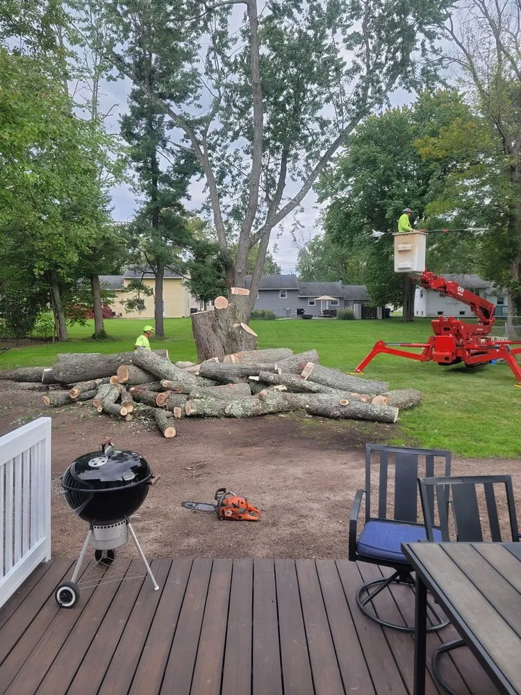 Expert lawn mowing service experts serving West Hartford, CT - American Landscaping & Tree Service