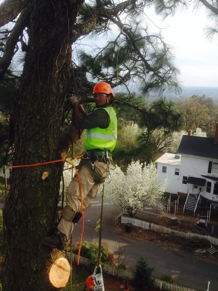 Reliable residential landscaping in West Hartford, CT by American Landscaping & Tree Service