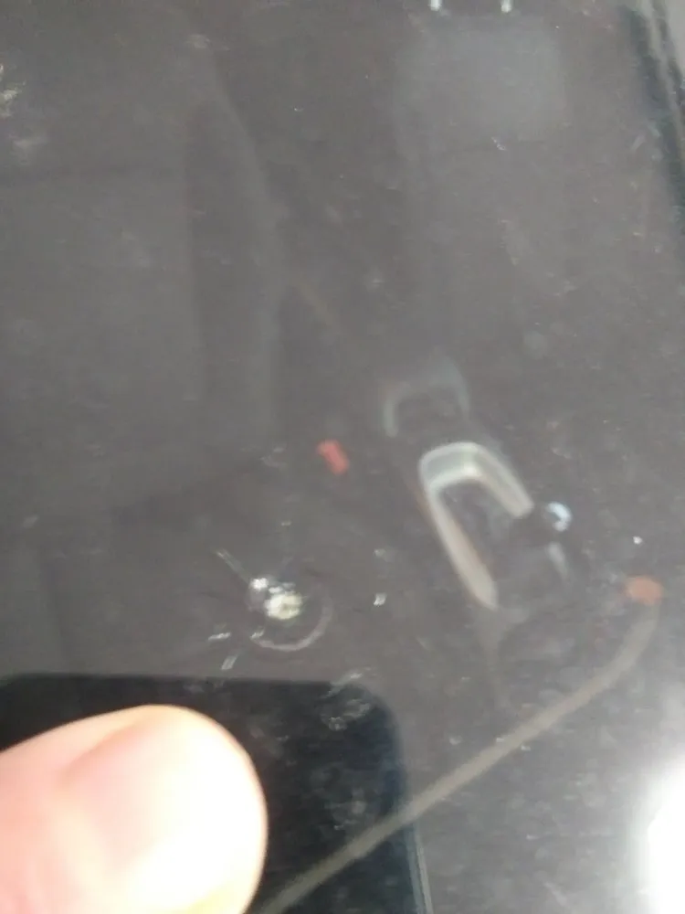 Top-rated yard cleanup service with custom design across Anchorage, AK - American Landscaping