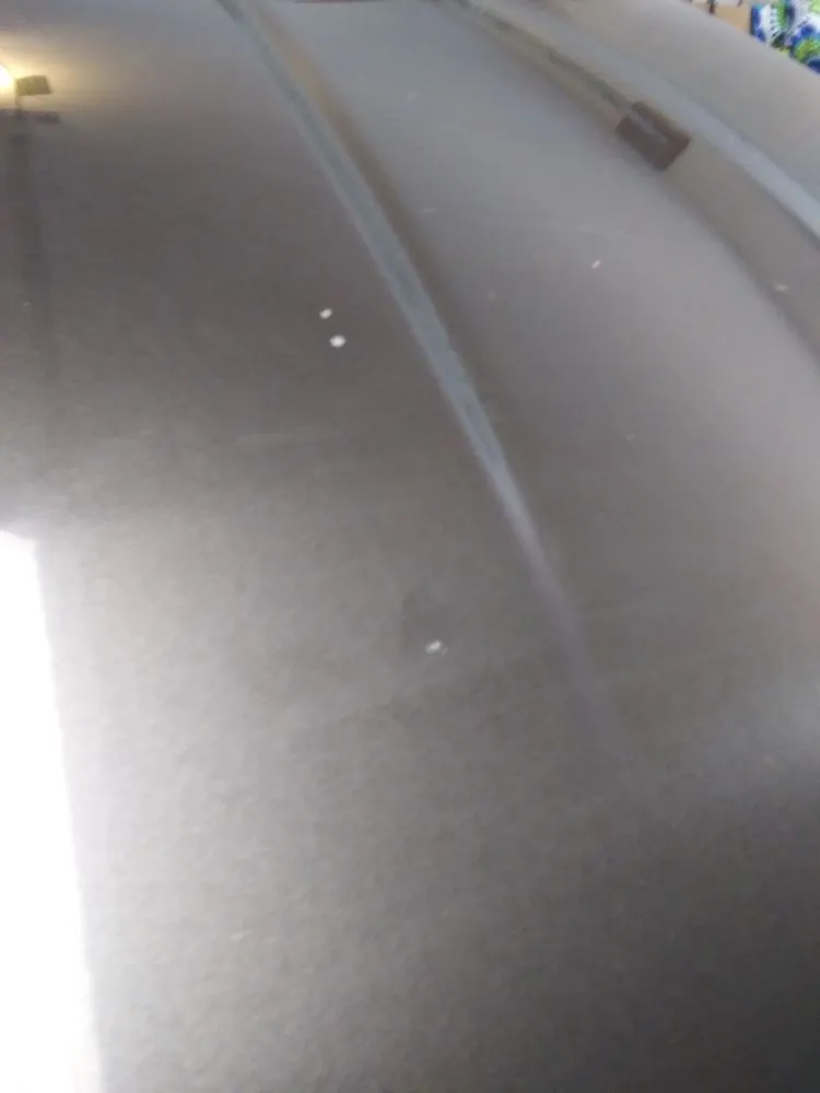 Local residential landscaping experts serving Anchorage, AK - American Landscaping