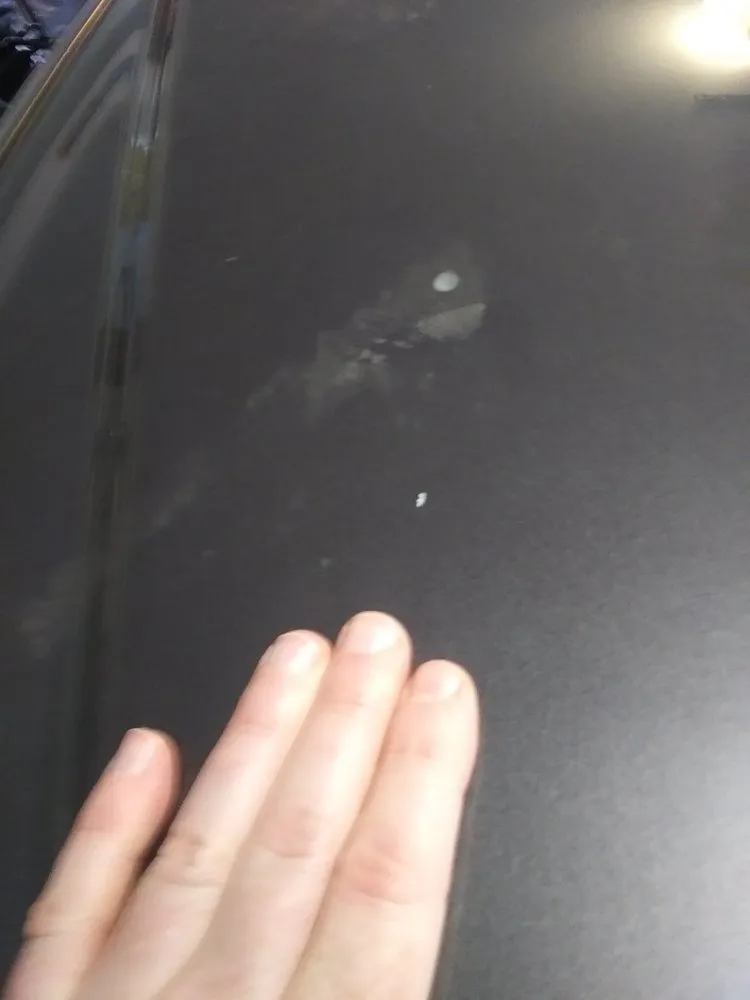 Reliable lawn mowing service experts serving Anchorage, AK - American Landscaping