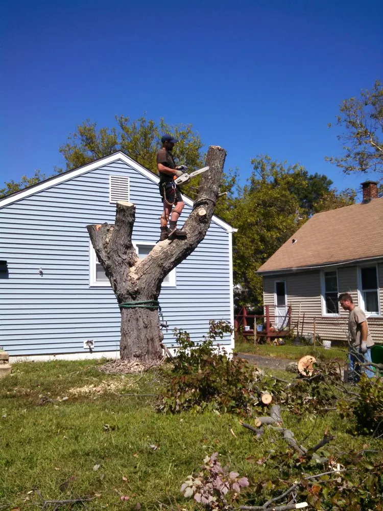 Reliable yard cleanup service experts serving Ocean Grove, NJ - American Landscaping and Tree Service